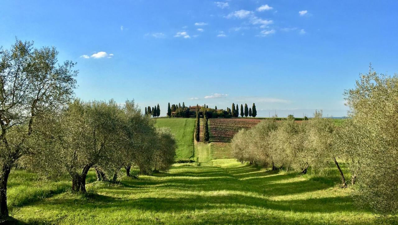 Residenza D'Epoca La Rosa Apartman Pienza Kültér fotó