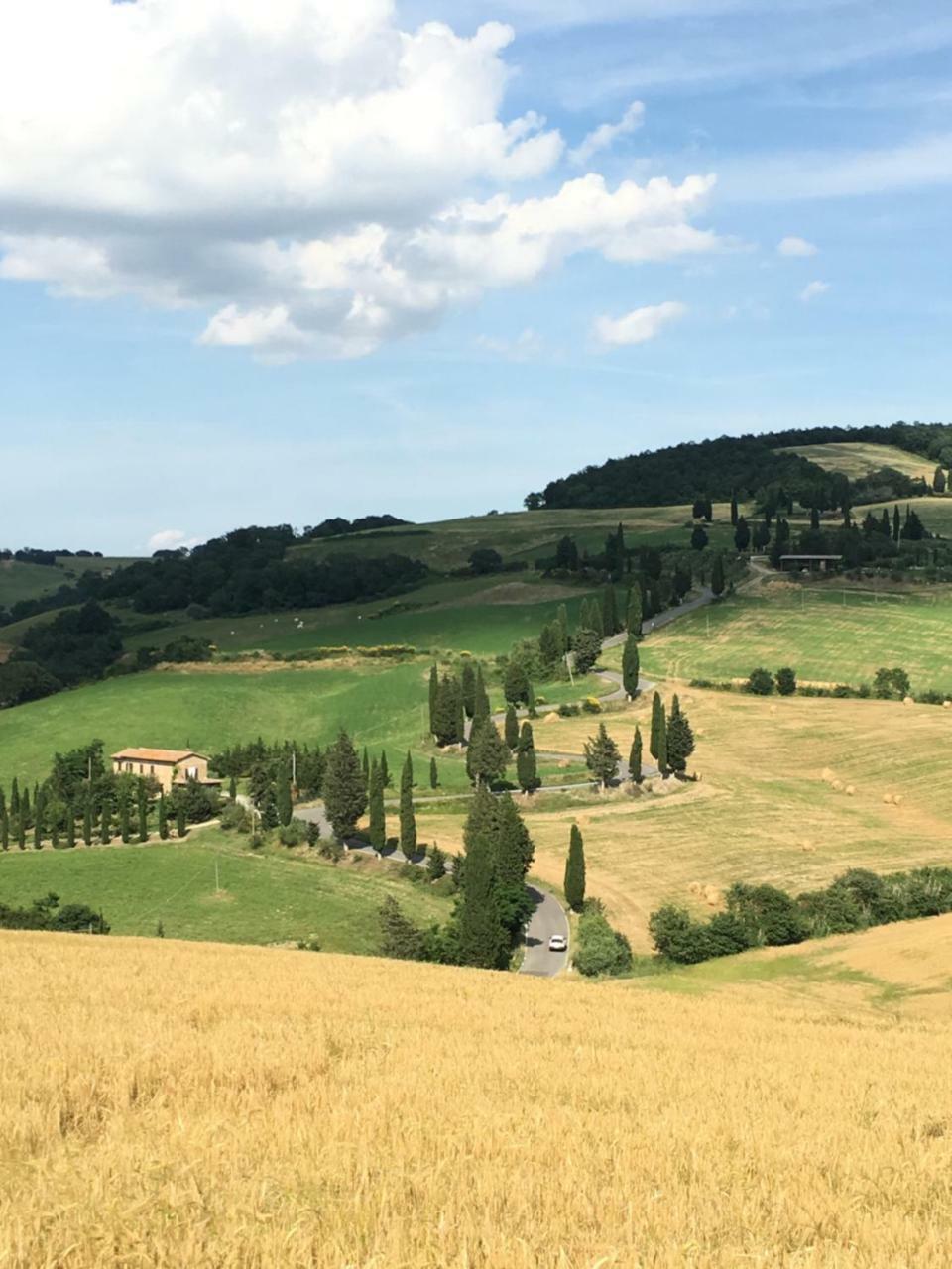 Residenza D'Epoca La Rosa Apartman Pienza Kültér fotó