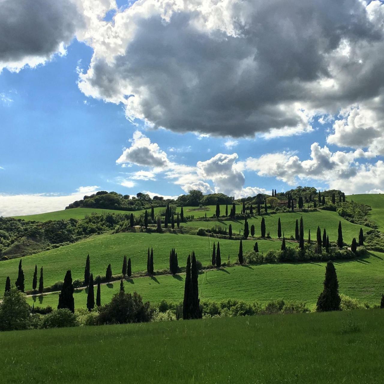 Residenza D'Epoca La Rosa Apartman Pienza Kültér fotó
