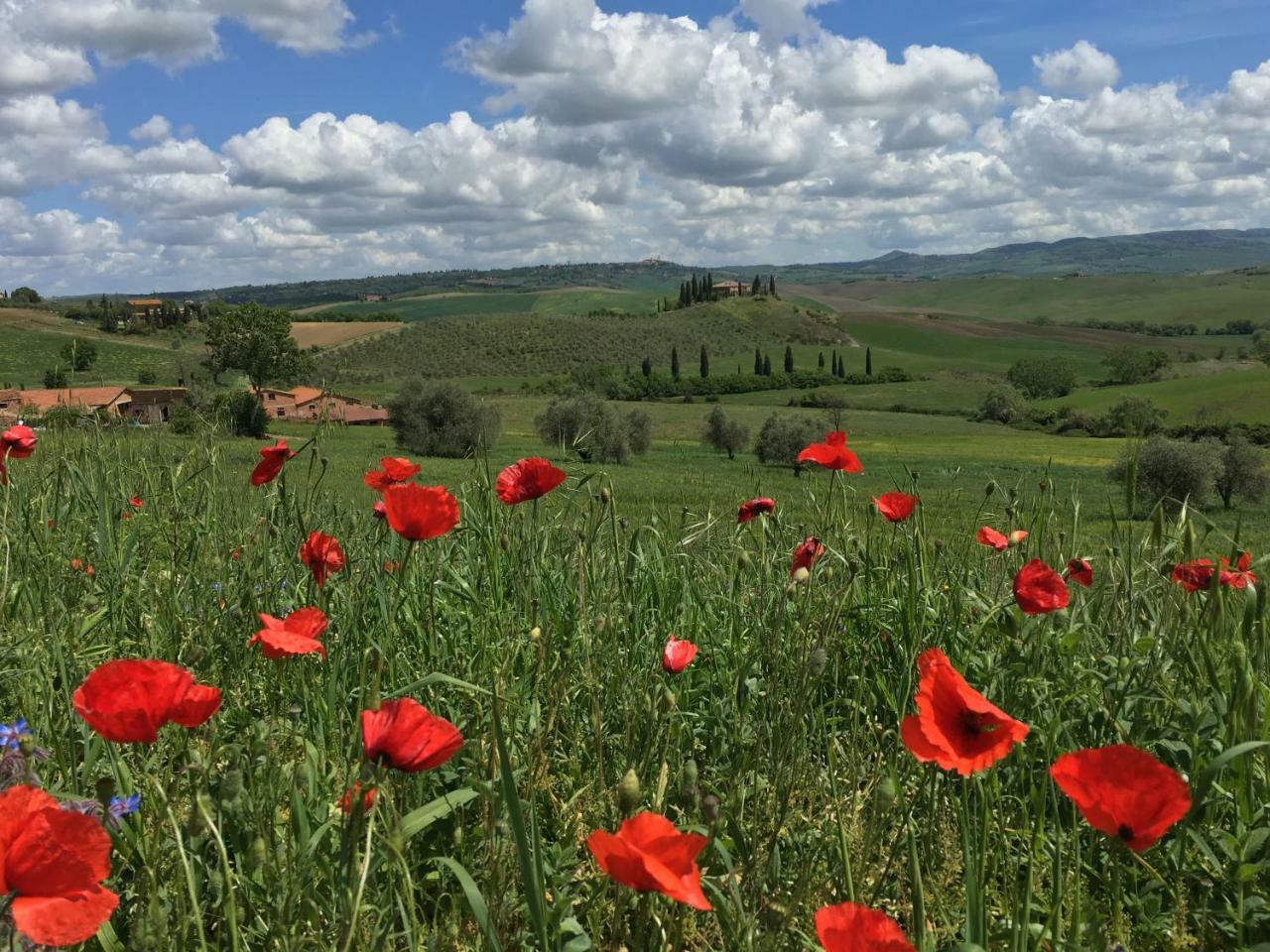 Residenza D'Epoca La Rosa Apartman Pienza Kültér fotó