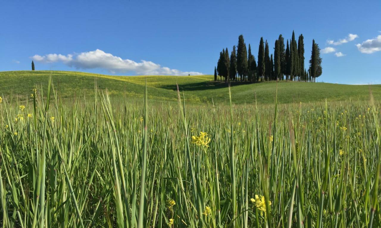 Residenza D'Epoca La Rosa Apartman Pienza Kültér fotó